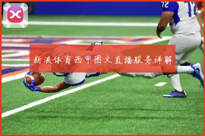 新浪体育西甲图文直播服务详解