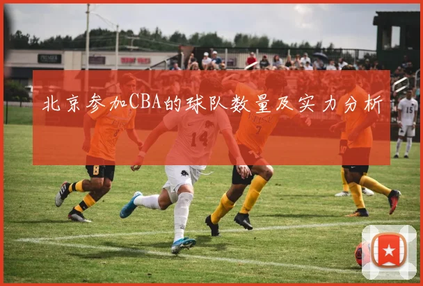 北京参加CBA的球队数量及实力分析