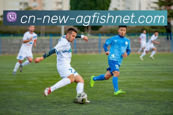 AG捕鱼王官网APP 封面图