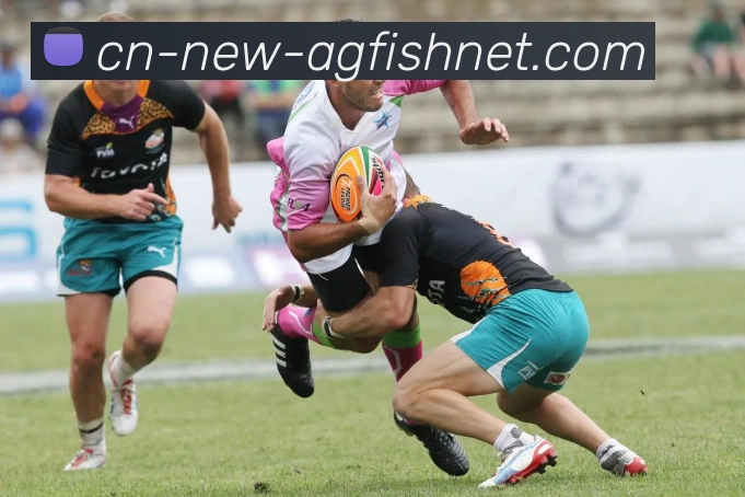 数据防护可视化